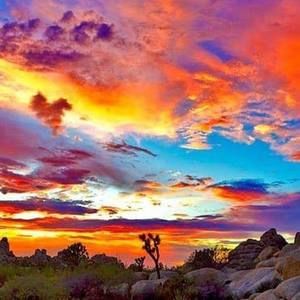 Meet your Posher, Shumona